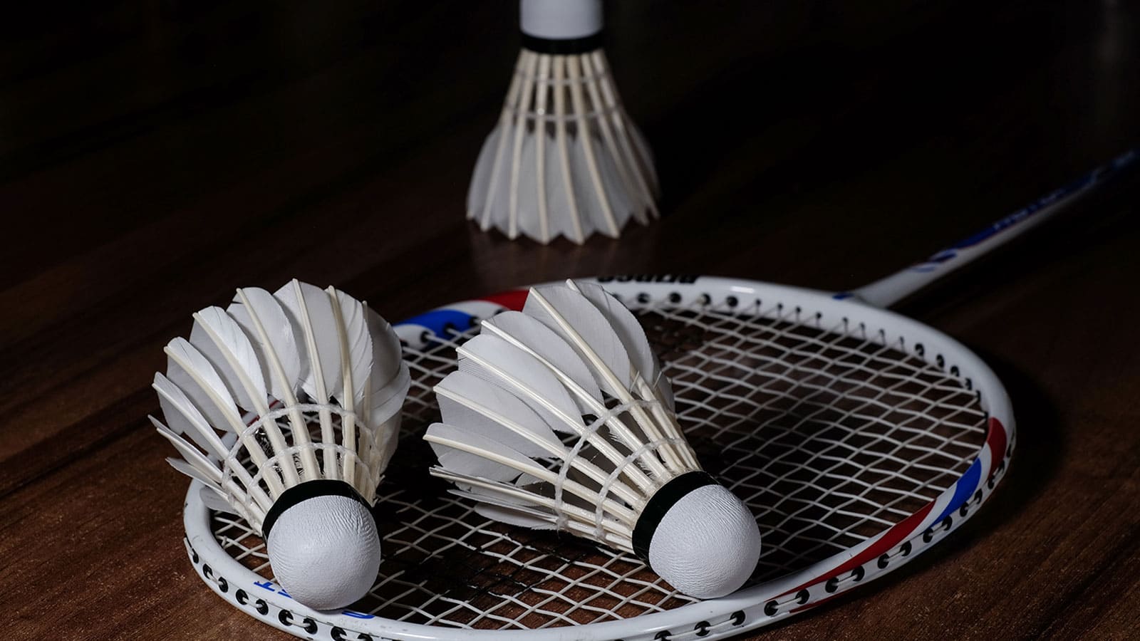Bollineni Zion Badminton Court